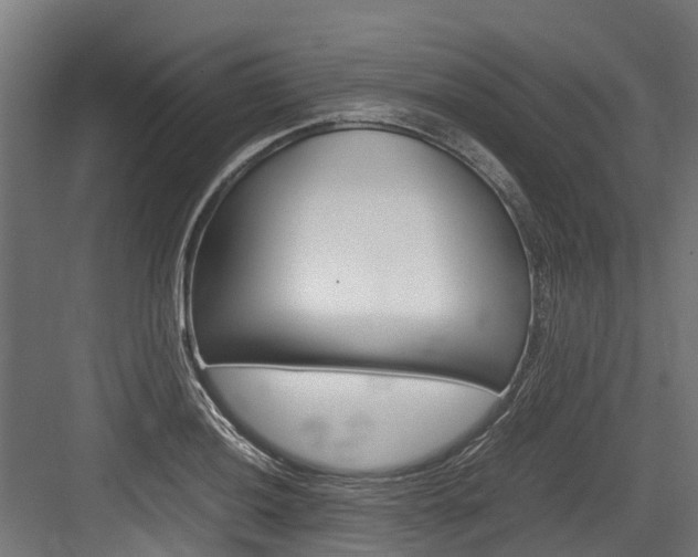X0000083621036200702120744