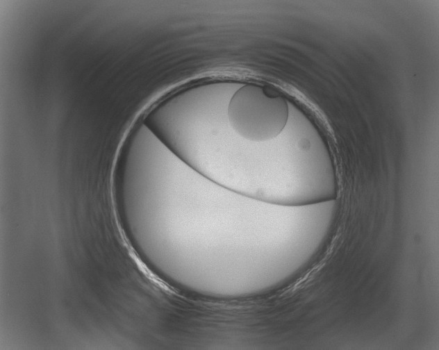 X0000083621037200702120744