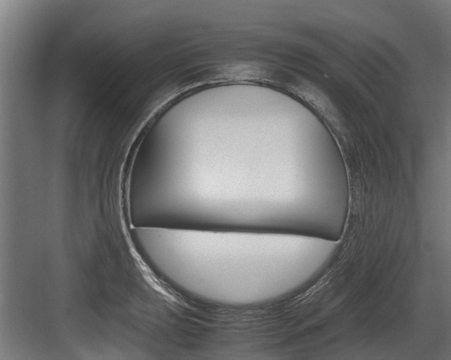 X0000083621039200702120744