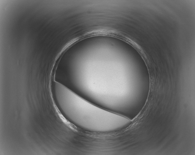 X0000083621042200702120744