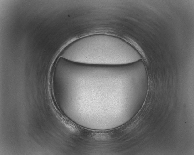 X0000083621043200702120744