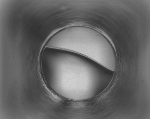 X0000083621045200702120744