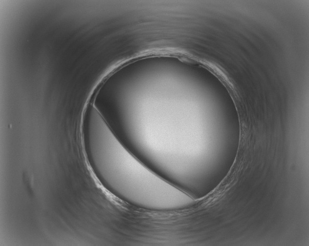 X0000083621046200702120744