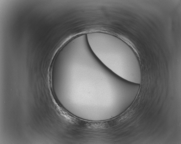 X0000083621047200702120744