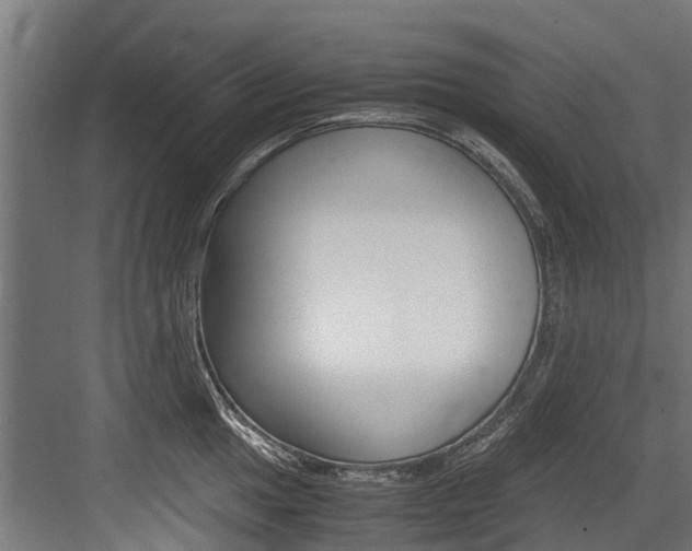 X0000083621049200702120744