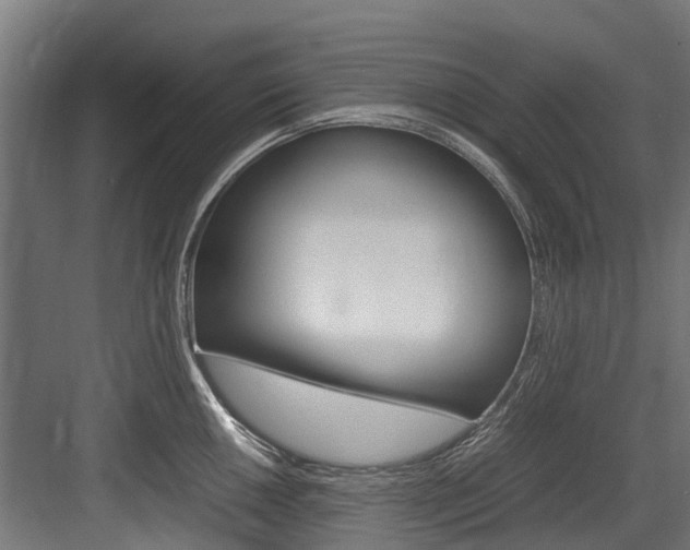 X0000083621050200702120744