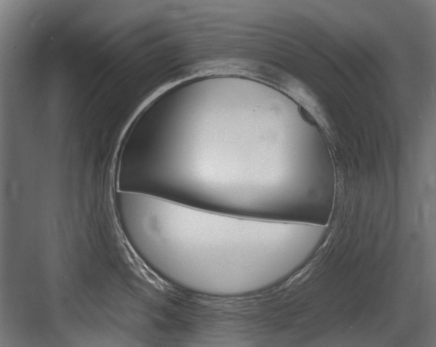 X0000083621052200702120744