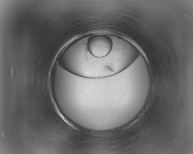 X0000083621053200702120744