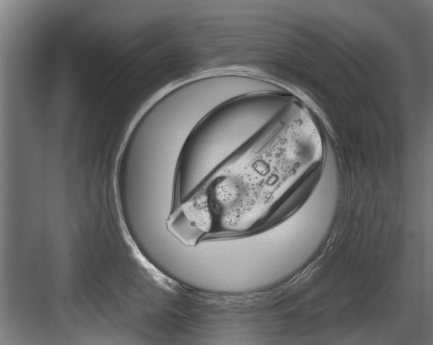 X0000083621054200702120744