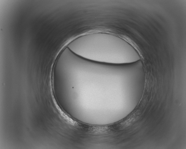 X0000083621055200702120744