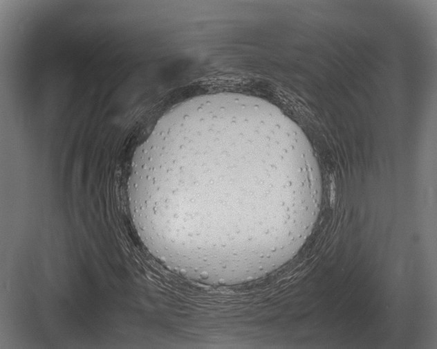 X0000083621059200702120744