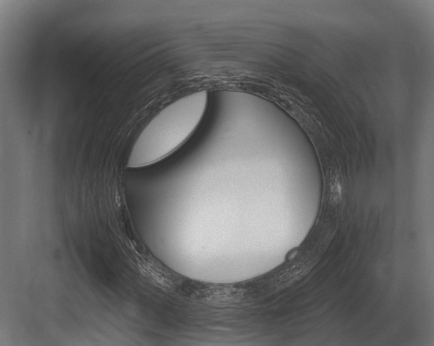 X0000083621060200702120744