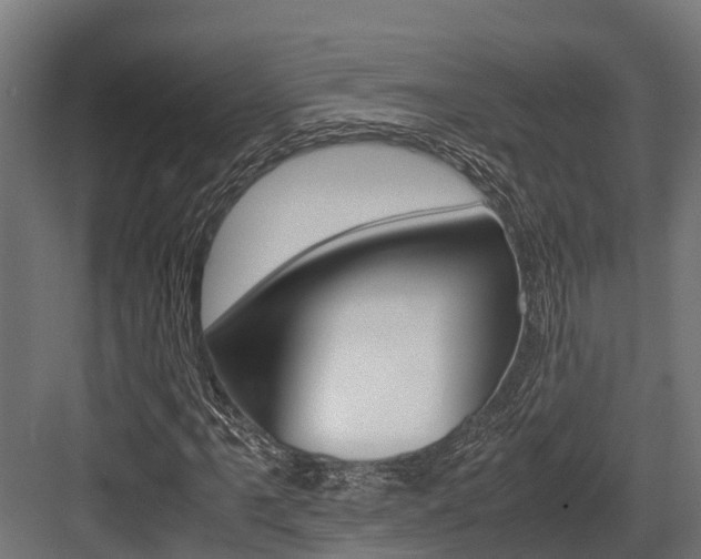 X0000083621061200702120744