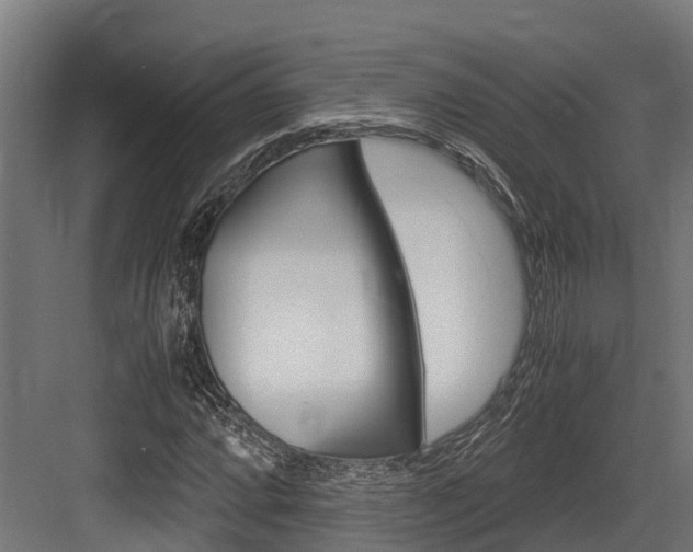X0000083621064200702120743