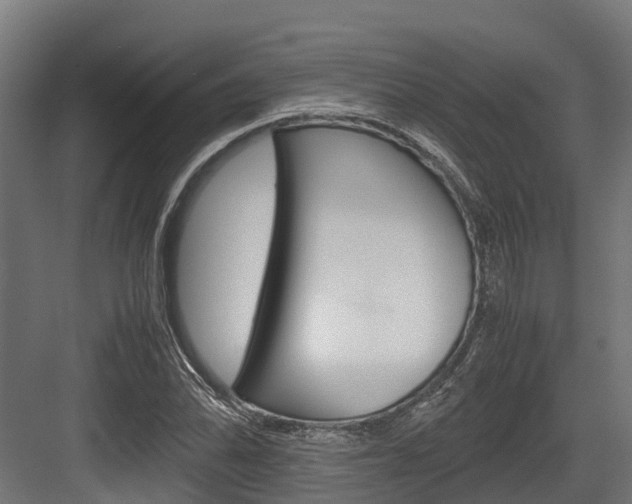 X0000083621070200702120743