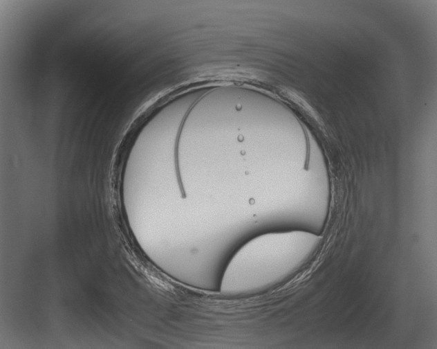 X0000083621071200702120743