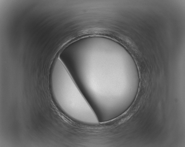 X0000083621073200702120743