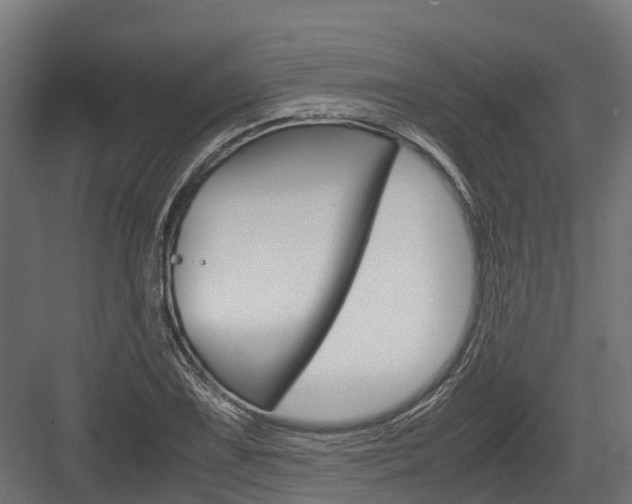X0000083621075200702120743