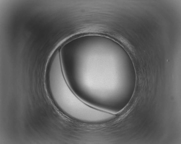 X0000083621077200702120743