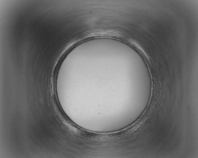 X0000083621079200702120743