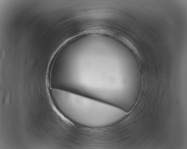 X0000083621084200702120743