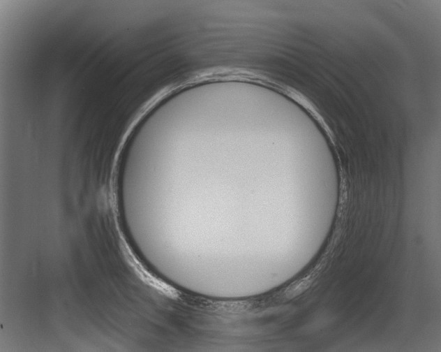 X0000083621090200702120743