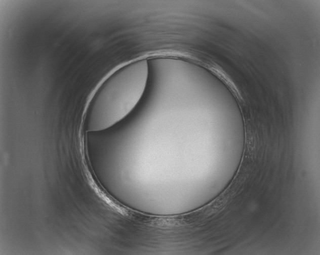 X0000083621092200702120743
