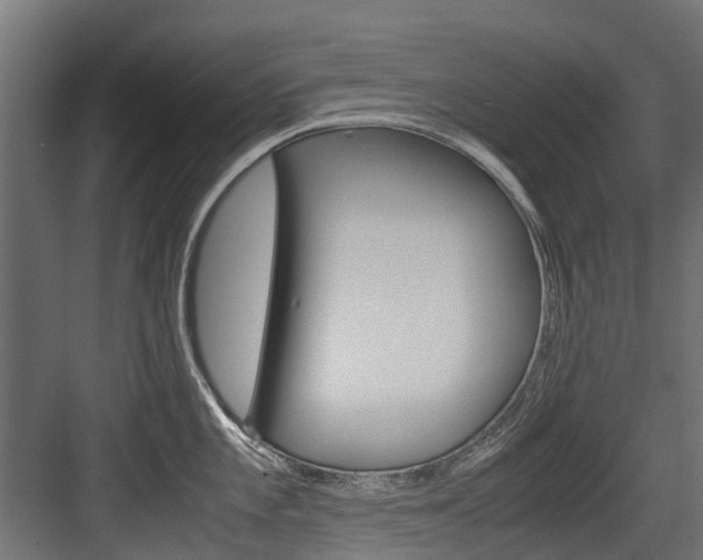 X0000083621101200702120743