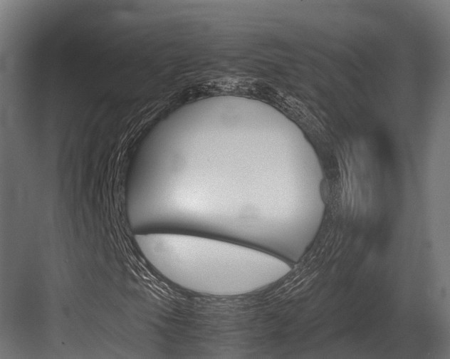 X0000083621105200702120742