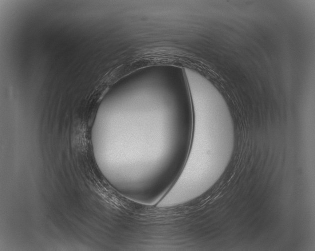 X0000083621108200702120742