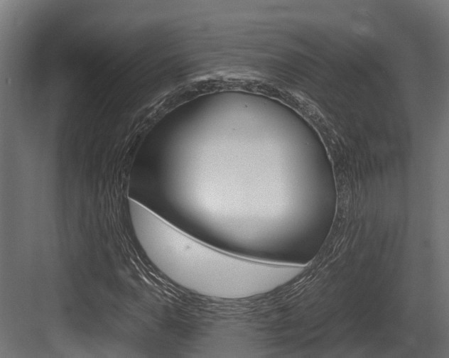 X0000083621110200702120742