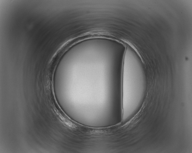X0000083621115200702120742