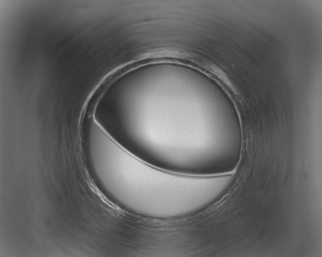 X0000083621116200702120742