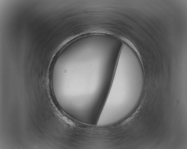 X0000083621133200702120742