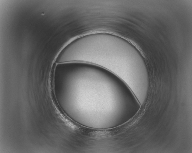 X0000083621134200702120742