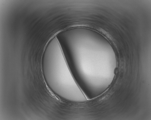 X0000083621137200702120743