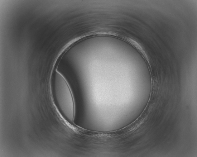 X0000083621141200702120743