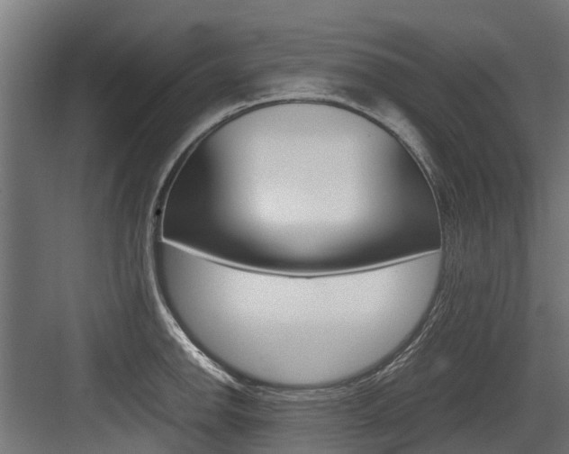 X0000083621142200702120743