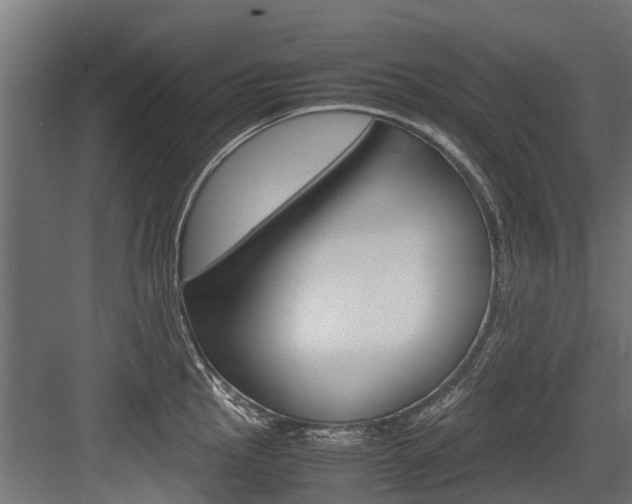 X0000083621145200702120743