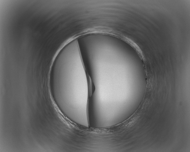 X0000083621146200702120743