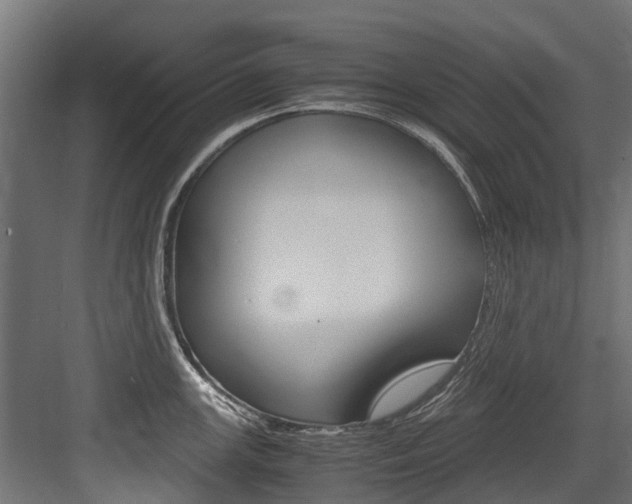X0000083621147200702120743