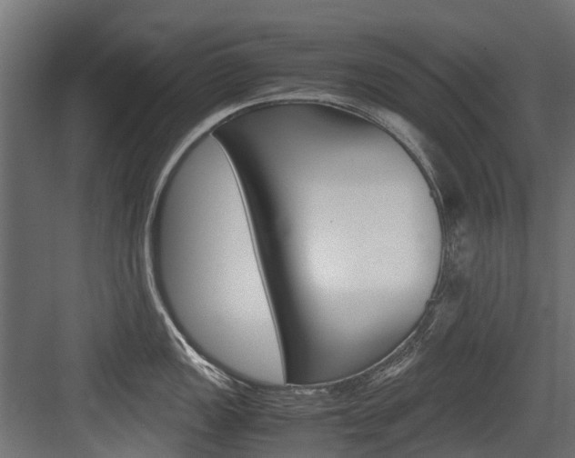 X0000083621149200702120743