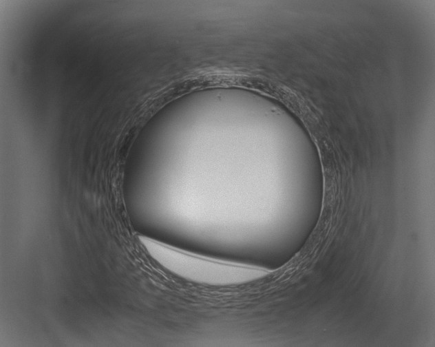 X0000083621157200702120742
