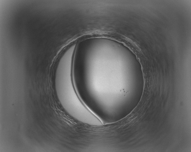 X0000083621160200702120742
