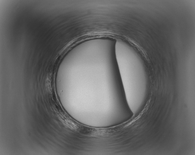 X0000083621162200702120742