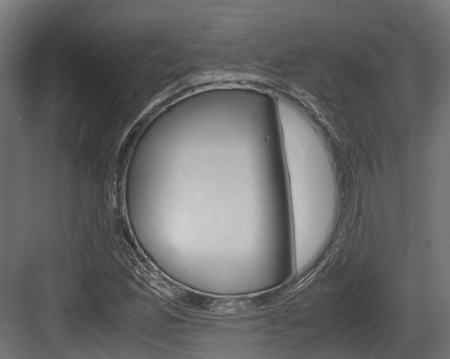 X0000083621165200702120742