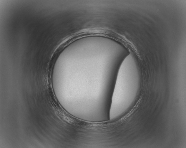 X0000083621166200702120742
