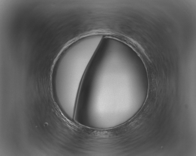X0000083621168200702120742