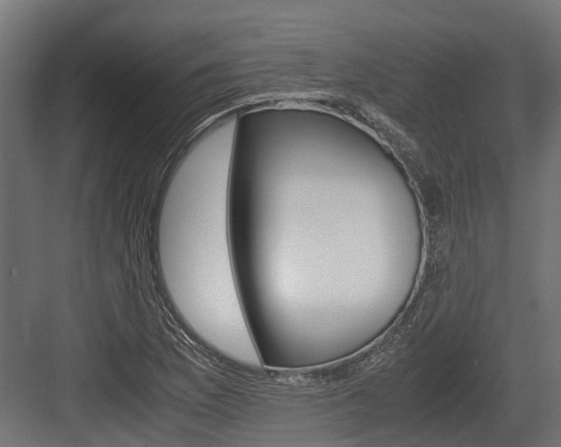 X0000083621169200702120742