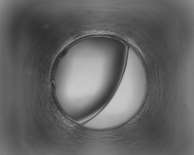 X0000083621173200702120742